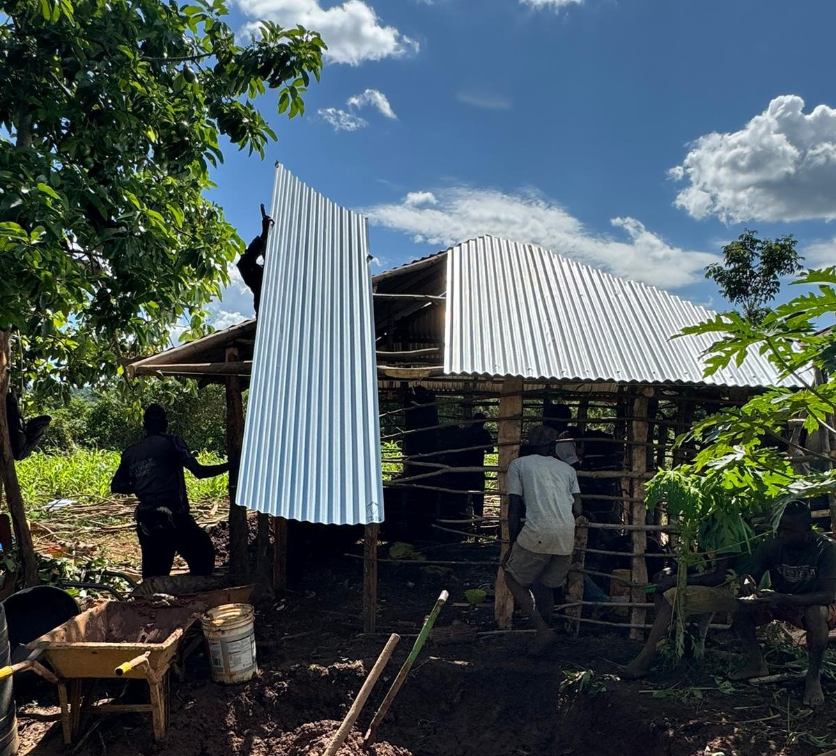 Building Shelter