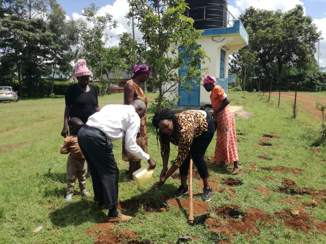 Tree Planting